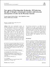 Morey_articulo_2019.pdf.jpg
