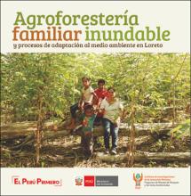 Correa_agroforesteria_libro.pdf.jpg